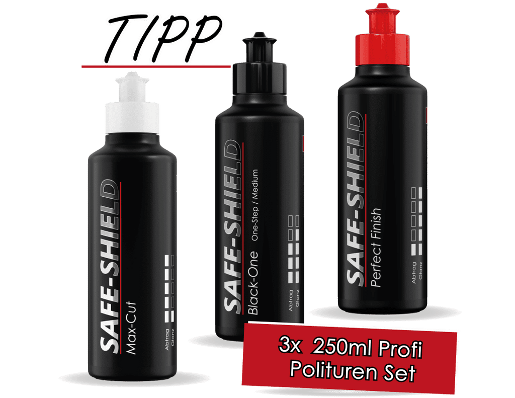 Ausführliche Schilderung, Reinigungssalon Mit Polierspray